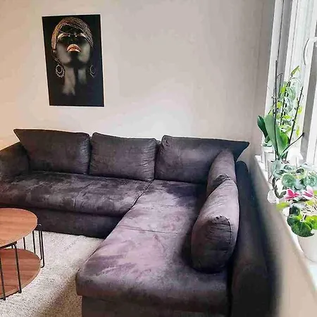 Apartment Vracar *