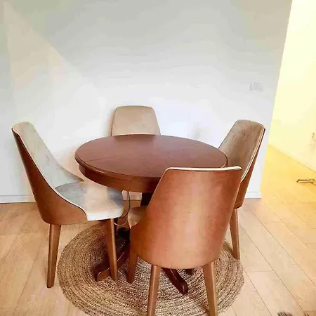 Apartment Vracar *